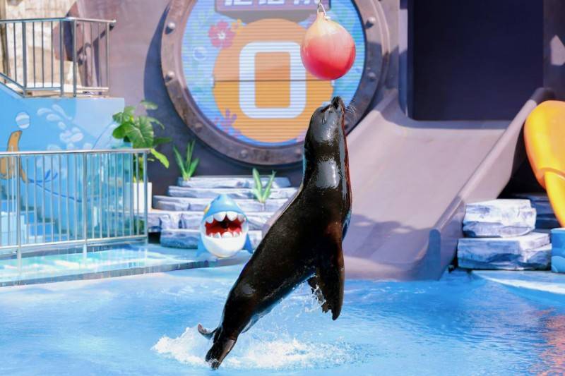 海边花展、水下舞狮 小梅沙打造深圳“新年俗” 门票超值预售中