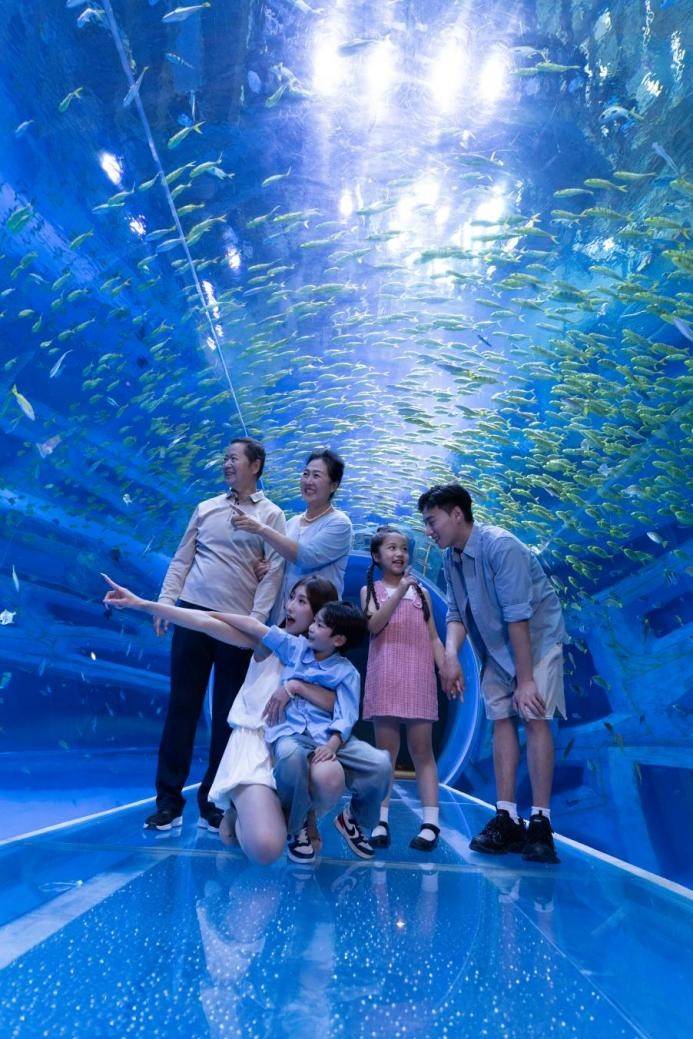 海边花展、水下舞狮 小梅沙打造深圳“新年俗” 门票超值预售中